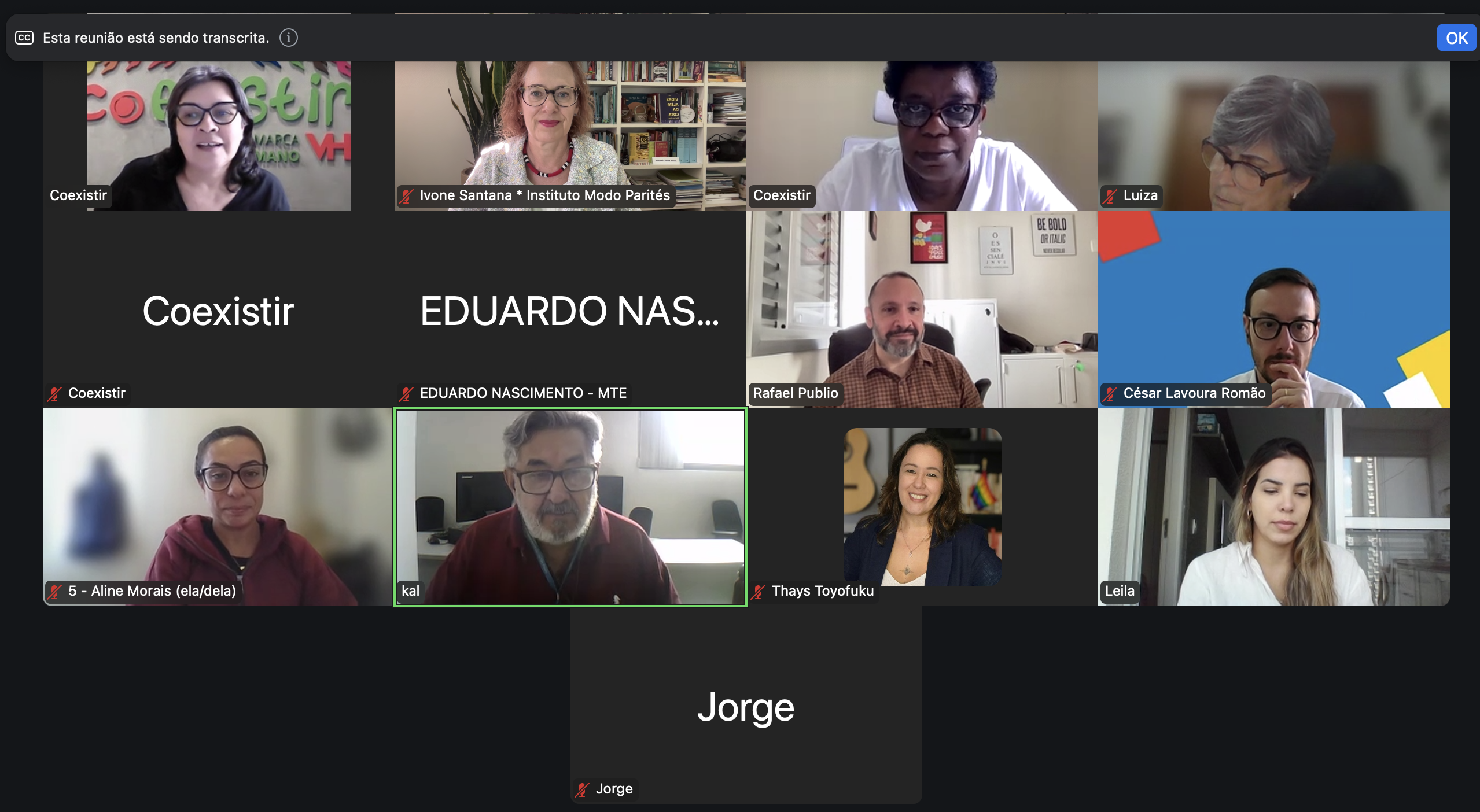 print da reuniao online